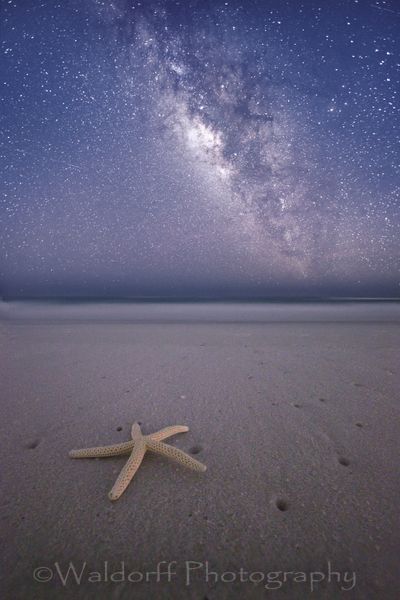 Star Walk