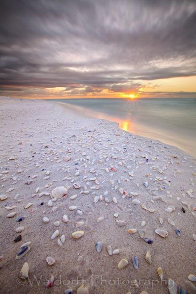 Coquina Sunrise