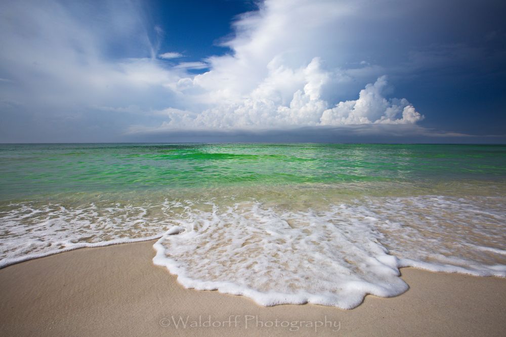 Sunny Shore