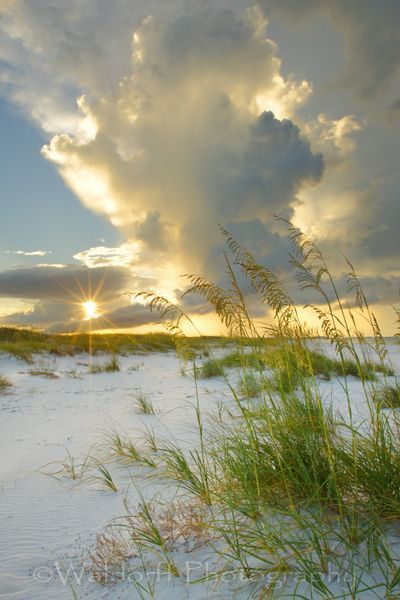 Sea Oat Sky | Sea Oat Sky on Okaloosa Island, Florida