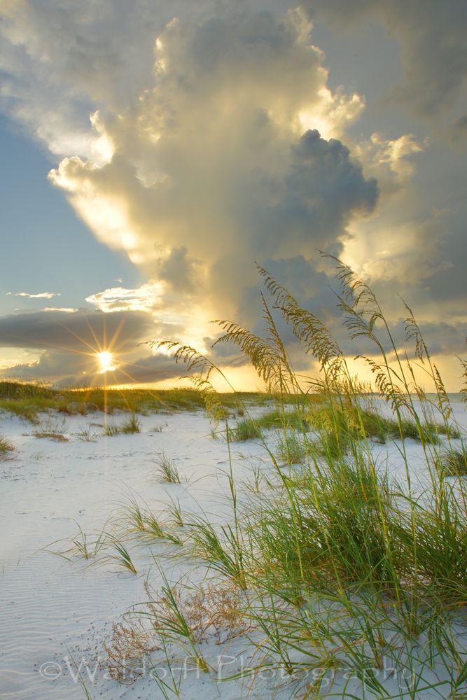 Sea Oat Sky | Sea Oat Sky on Okaloosa Island, Florida