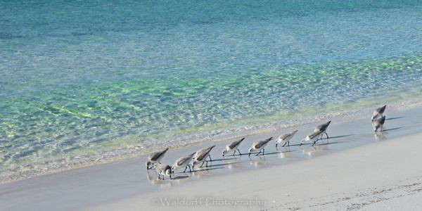Dancing in the Surf | Destin, Florida  | Fine Art Landscape Photography on Canvas, Paper, Metal, Acrylic | Photography by Jeff Waldorff