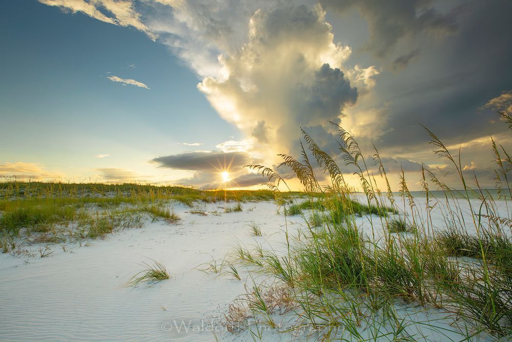 Morning has Broken | Sea Oat Sky on Okaloosa Island, Florida