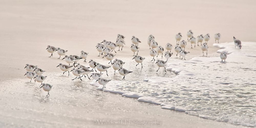 52 Pickup | Gulf Islands National Seashore, Florida  | Fine Art Landscape Photography on Canvas, Paper, Metal, Acrylic | Photography by Jeff Waldorff