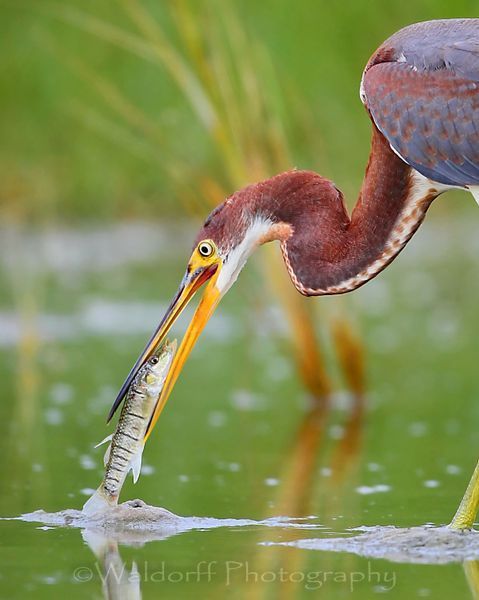 So THIS is how it Ends!