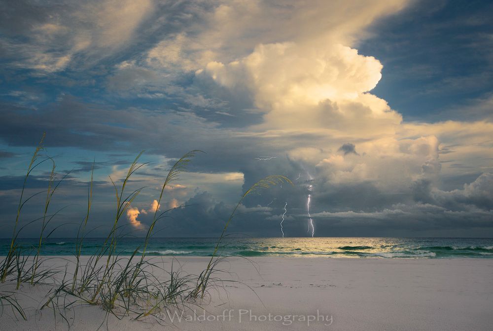 Lightning and Sea Oats | Gulf Islands National Seashore, Florida - Fine Art Prints on Canvas, Paper, Metal, and Acrylic | Waldorff Photography