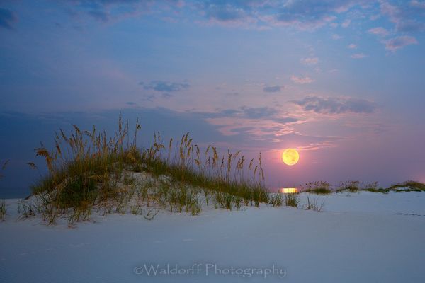 Full moon setting over the Gulf of Mexico near Pensacola Beach, Florida | Fine Art Prints on Canvas, Paper, Metal, & More | Waldorff Photography