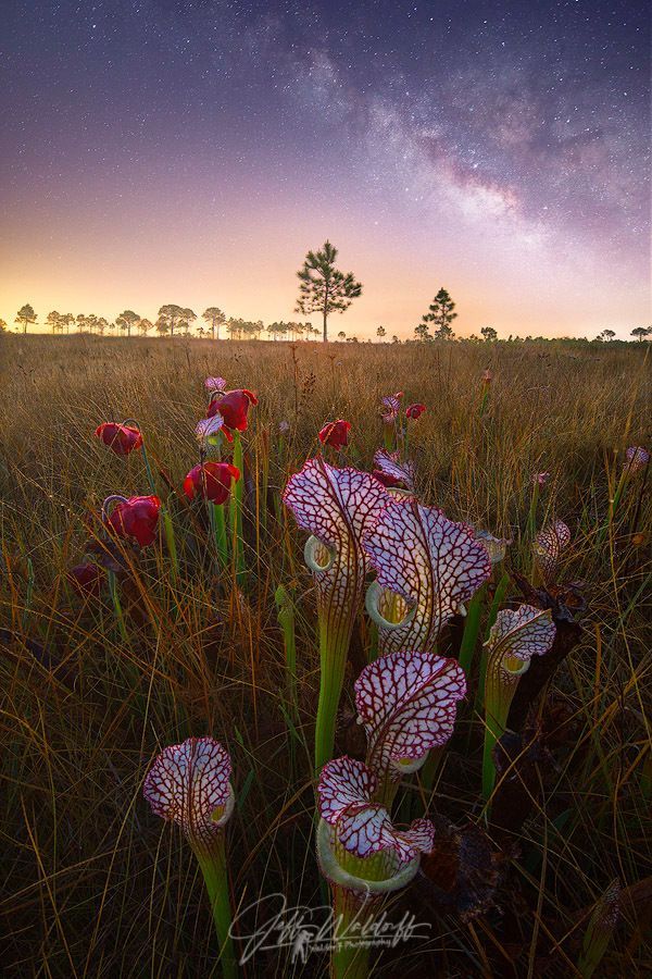 Mdawmdawmdawmdaw7qgraepd6cacehr zcfbfywxu2fyveayeunrgwctqqqltnerwweter6yomfiojy24adow ljj7f22f2vd2s3k0fn 38ezqodftc2xeuhdjufahdziomokxodj3hs jg da6ji5eudq olwagpj5emn4zlfy4i4kpuanbnsknu5gjkchoyqr5rsrtupcnre4cwop h mpsrx9ukk7rruxnjxjh yrar69tuxayrkvfkd8 4o9hilpxvqknc5uhgv8ks nejcnhxpnudqsh9m9sl4rzu8m6lgudoocaoljzo6jx5 ilpr1b2w