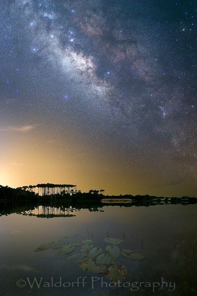 Western Lake under the Stars | Taken at Grayton Beach along Hwy 30A in Florida  | Fine Art Prints on Canvas, Paper, Metal, & More | Waldorff Photography