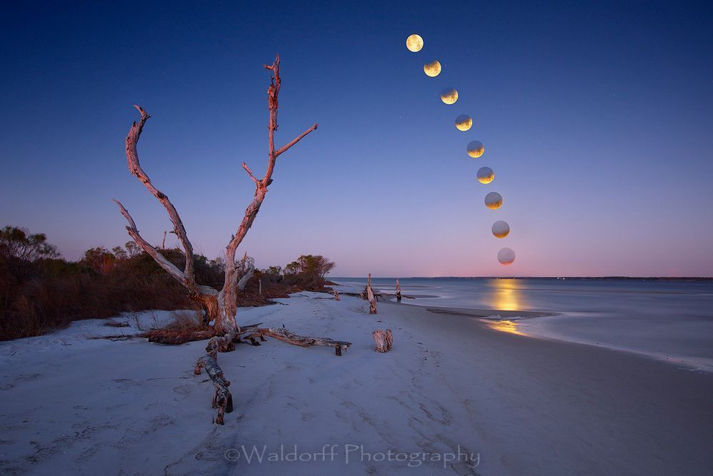 Lunar Eclipse - Navarre Beach Florida - Fine Art Prints on Canvas, Paper, Metal, & More | Waldorff Photography