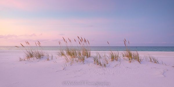 Solitude Photography Art | Waldorff Photography