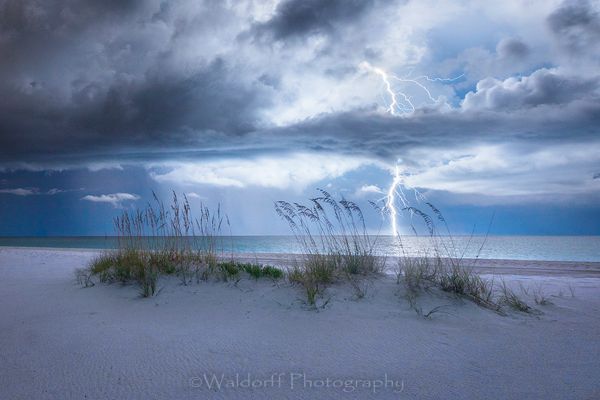 Photographic art of Lightning and Sea Oats | Gulf Islands National Seashore, Florida - Fine Art Prints on Canvas, Paper, Metal, & More | Waldorff Photography