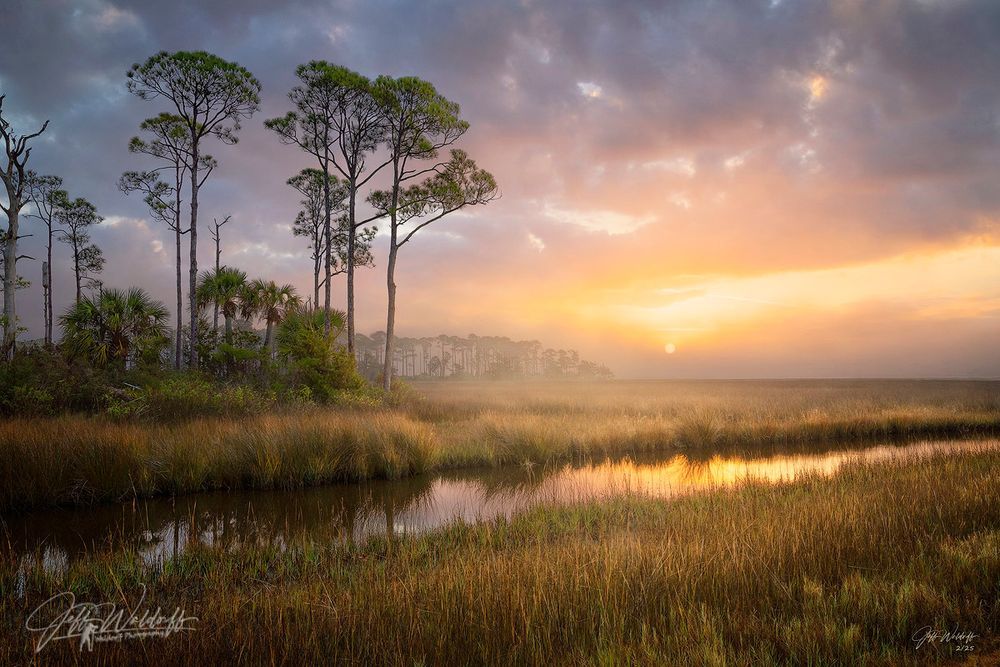 Mdawmdawmdawmdaw7qgraepd6cacehr zcfbfywxu2fyveayeunrgwctqqqltnerwweter6yomfiojy24adow ljj7f22f2vd2s3k0fn 38ezqodftc2xeuhdjufahdziomokxodj3hs jg da6ji5eudq olwagpj5emn4zlvy3i4koua bmcknupybkd4xzfpg9srtupcnrosbyov h mpsrx9ukk7rruxnjxjh yrar69tuxayrkvfkd8 4o9hilpxvqknc5uhgv8ks nejcnhxpnudqsh9m9sl4rzu8m6lgudmysut iv95p5xe31ktirje