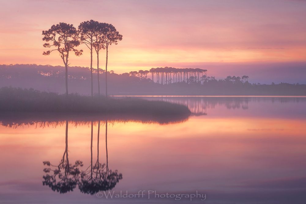 Sunrise over Western Lake at Grayton Beach | 30A | Fine Art Photo on Canvas, Paper, Metal, & More | Waldorff Photography.