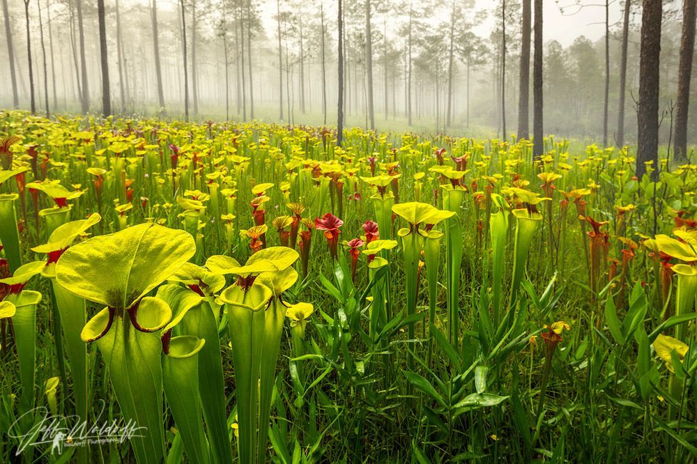 Mdawmdawmdawmdaw7qgraepd6cacehr zcfbfywxu2fyveayeunrgwctqqqltnerwweter6yomfiojy24adow ljj7f22f2vd2s3k0fn 38ezqodftc2xeuhdjufahdziomokxodj3hs jg da6ji5eudq olwagpj5emn4zlvy9i4kouajyniknujwlkdrzeqhnr8rtupcnreczxyd9h mpsrx9ukk7rruxnjxjh yrar69tuxayrkvfkd8 4o9hilpxvqknc5uhgv8ks nejcnhxpnudqsh9m9sl4rzu8m6lgudndc3kxfcivjdl4f3mxazji