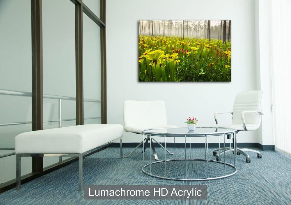 Mdawmdawmdawmdaw7qgraepd6cacehr zcfbfywxu2fyveayeunrgwctqqqltnerwweter6yomfiojy24adow ljj7f22f2vd2s3k0fn 38ezqodftc2xeuhdjufahdziomokxodj3hs jg da6ji5eudq olwagpj5emn4zlvy9uetwdfg1nilm6c2ldniqj sgp99xuforrffagtrrhbslxf8 6bcmvbijjdpuho79oyqoha0i rmvjfd 4svusgykifu1foukakivxjfjaoeewiqz4h5h1iz5ekxscqklqoauy00k9afzjsmdqtul