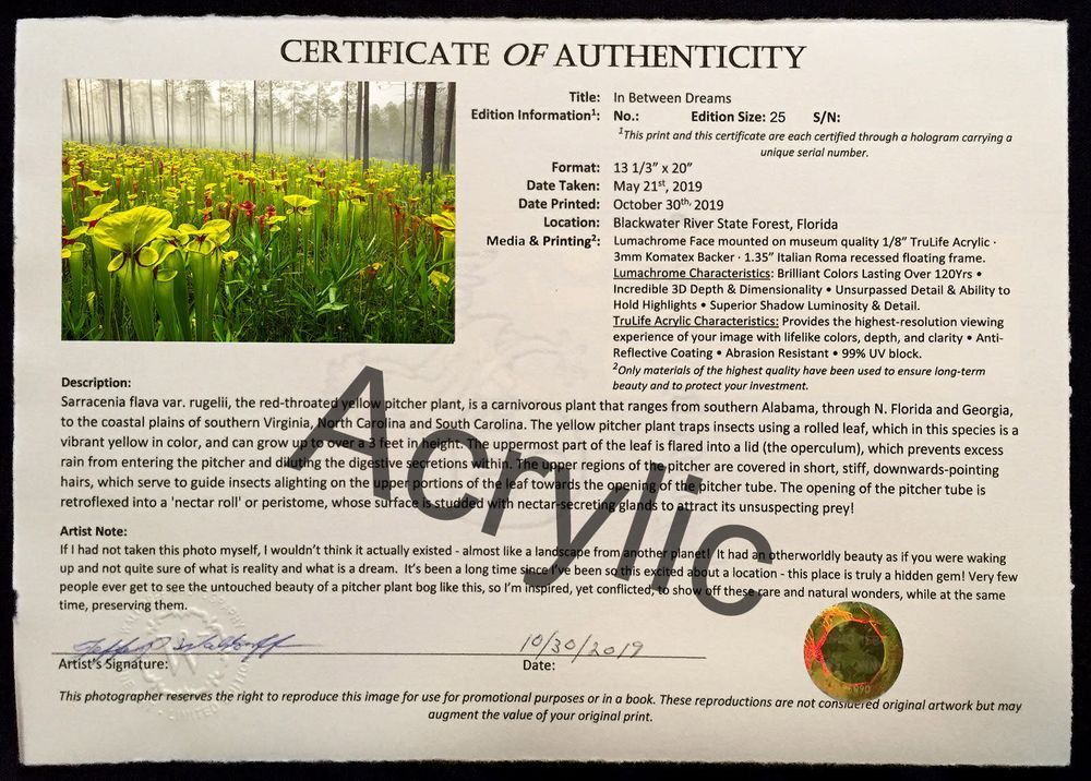 Mdawmdawmdawmdaw7qgraepd6cacehr zcfbfywxu2fyveayeunrgwctqqqltnerwweter6yomfiojy24adow ljj7f22f2vd2s3k0fn 38ezqodftc2xeuhdjufahdziomokxodj3hs jg da6ji5eudq olwagpj5emn4zlvy9ufdeiwklfump8nyxrneyl wurnlauun0blgi3pe92 grxvg 6luou7ytliaz0makibkhur5yqevhdrh6 4orhibdwvo4y8b2r1alxyvbrcrywsvfridv3o20fwg zu4jy5l1ofmvpc6ns4ex