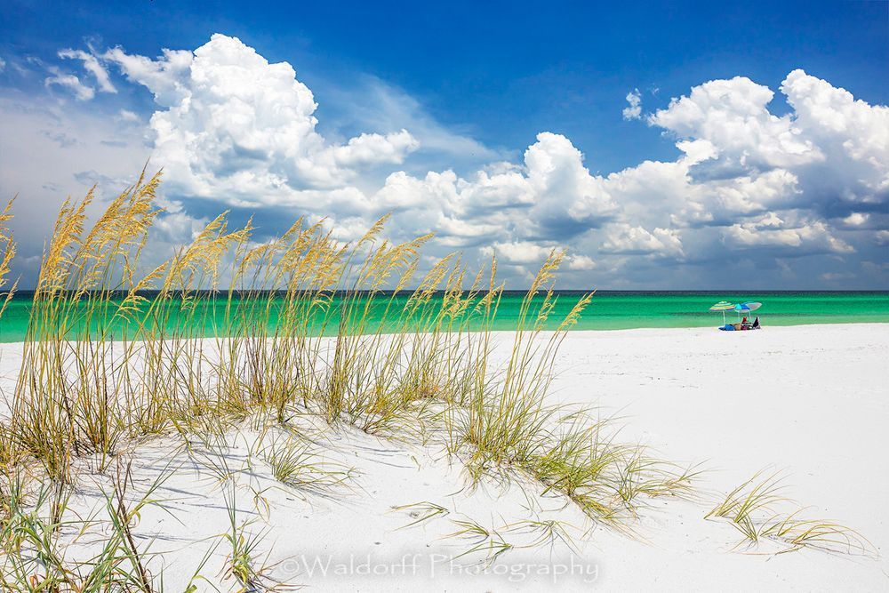 Sea Oats and Beach Umbrella | Destin, Florida | Fine Art Landscape Photography on Canvas, Paper, Metal | Photography by Jeff Waldorff