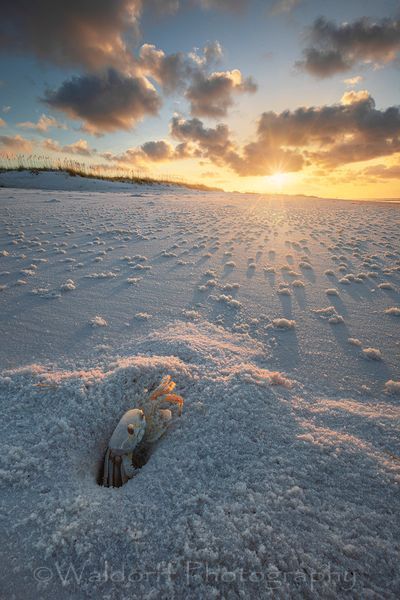 Ghost Crab Sunrise | Pensacola Beach, Florida | Fine Art Landscape Photography on Canvas, Paper, Metal | Photography by Jeff Waldorff