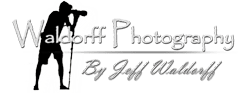 Waldorff Photography