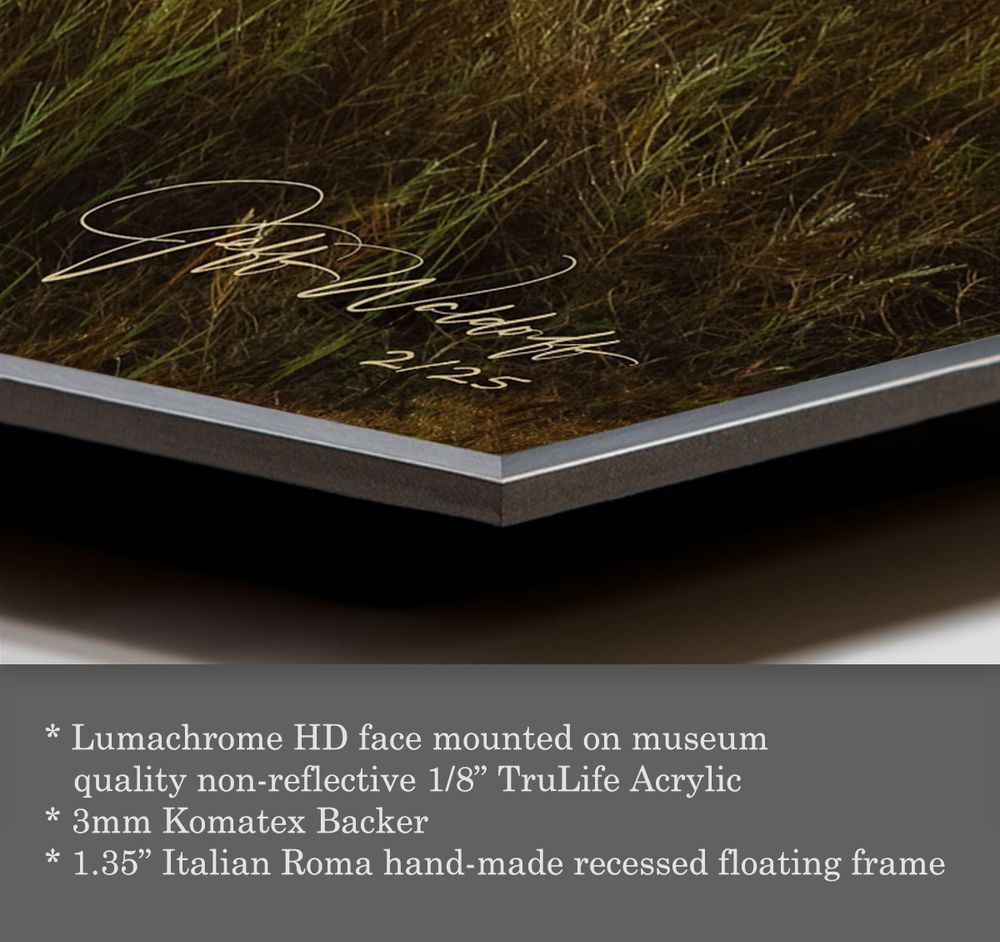 Mdawmdawmdawmdaw7qgraepd6cacehr zcfbfywxu2fyveayeunrgwctqqqltnerwweter6yomfiojy24adow ljj7f22f2vd2s3k0fn 38ezqodftc2xeuhdjufahdziomokxodj3hs jg da6ji5eudq olwagpj5emn5dd2 lytrytw6dyxni3mzdabt2jqx27opnvpcrtogeyop9kbcvxllztvs9vbssizvumpc d7i8ub1yqdl2pbzh5nglbmzkwva5y8bgvahwnmcrro8ghhpnpdphmdstvhqzbe4m6hu0lpkfoxocil6uya7ukhhw9yy 