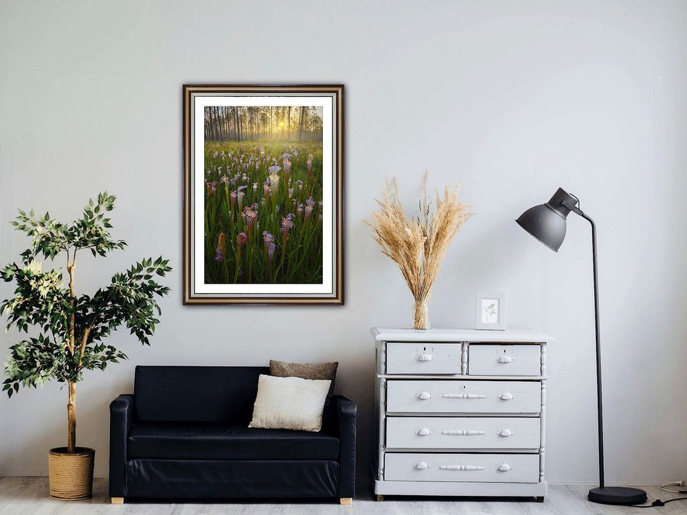 Mdawmdawmdawmdaw7qgraepd6cacehr zcfbfywxu2fyveayeunrgwctqqqltnerwweter6yomfiojy24adow ljj7f22f2vd2s3k0fn 38ezqodftc2xeuhdjufahdziomokxodj3hs jg da6ji5eudq olwagpj5emn5sfhkgyezbfvo1nufiu qjqxs0jpfh07qdevl3hr4fw4vxnqfghw9kq ijv7lg1hfpmpyxcle8tamb5gdicayxsfn8hi3uxo1ylcaghw18gyxvemvzrcsv4drf3435elazilzyrk1rs75a6xqyxjw7aex zmpxo5ahvlzjzwar