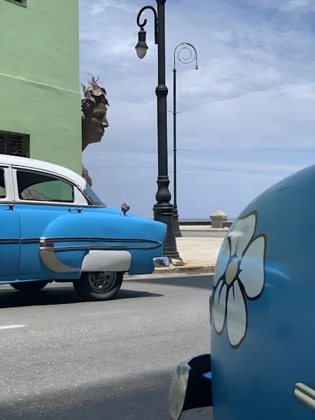 Wildflower (Havana, Cuba)
