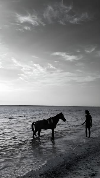The Centaur (Gili Trawangan, Indonesia)