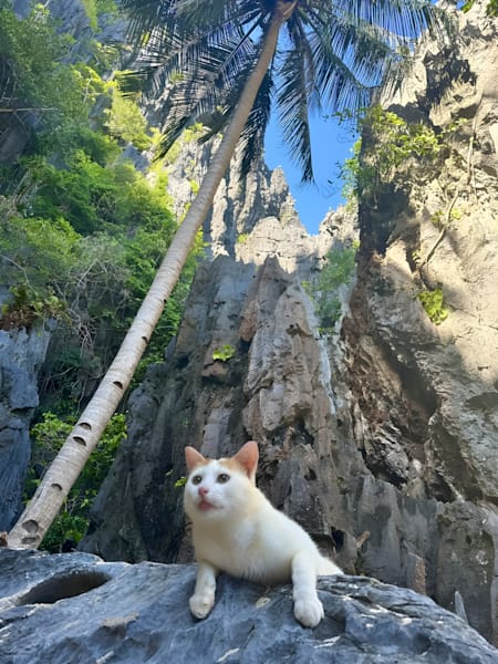 Sphinx of the South China Sea (Kalanggaman Island, Phillipines)