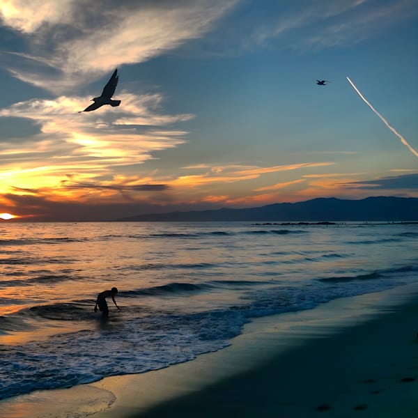 Soar (Venice, California)