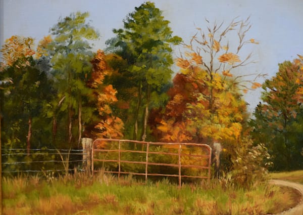 Fall at Gum Creek