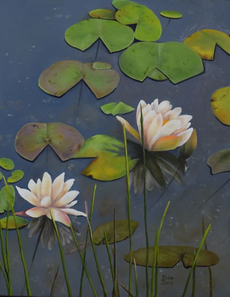 Waterlilies