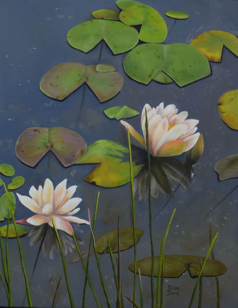 Waterlilies Art | Debra Davis Fine Art
