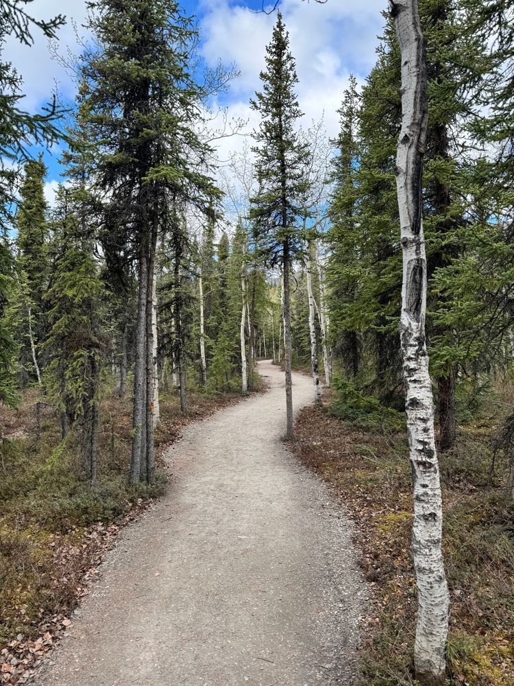 Discover Trails: Mysterious Trail by Felton Fotography