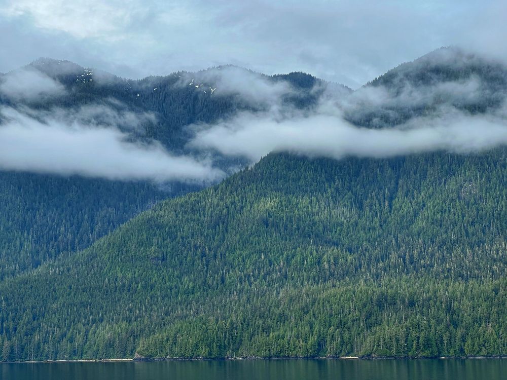 Cloudy Green - Stunning Photography by Felton Fotography