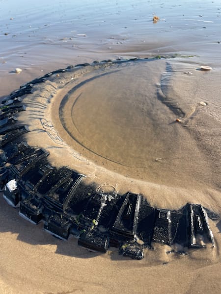 Beached Tire