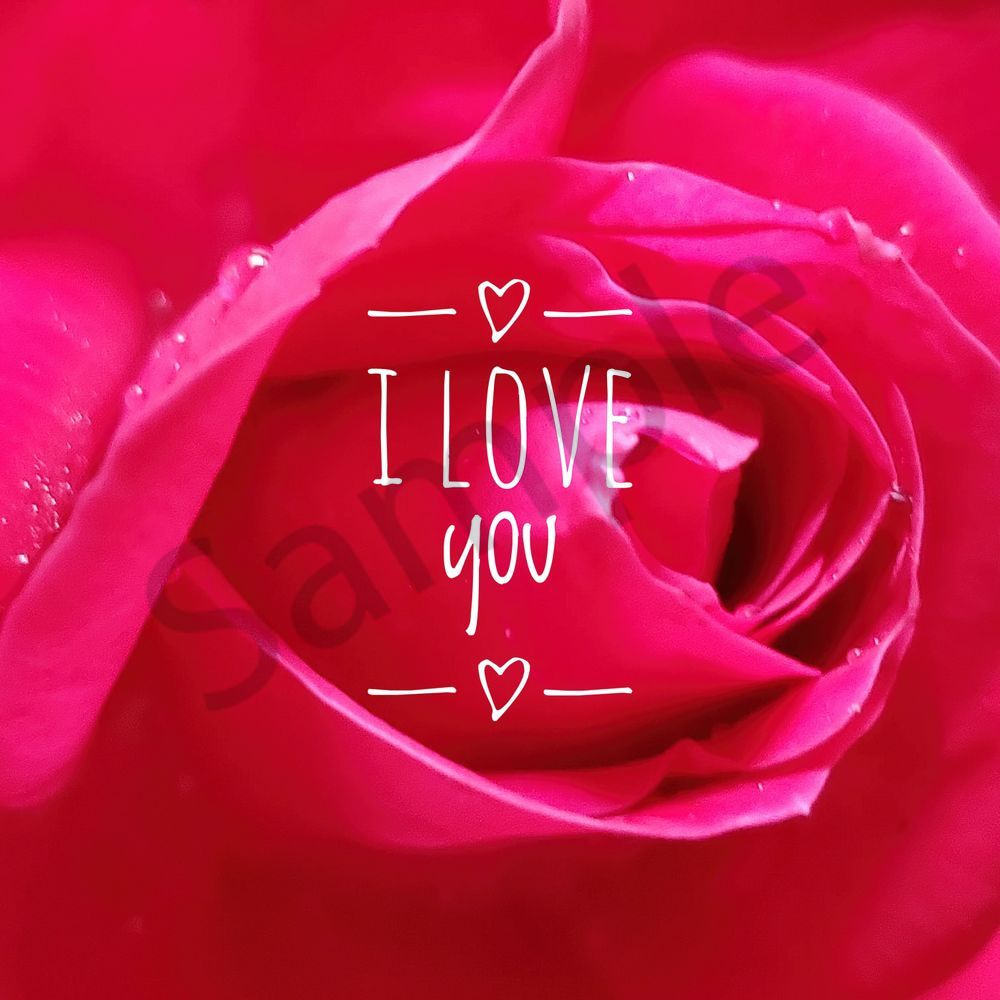 I Love You Rose Art | MangosArt, LLC