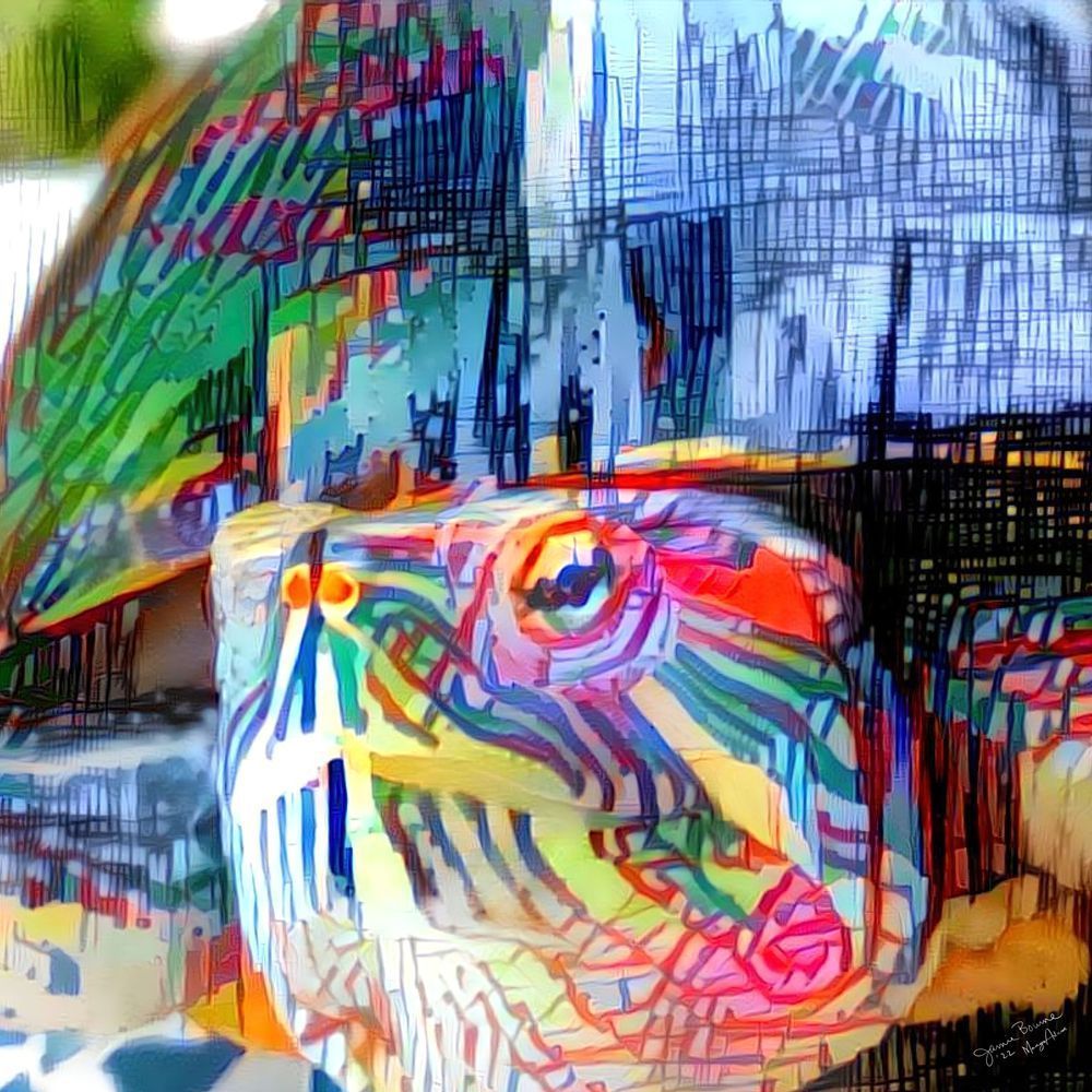 painted turtle