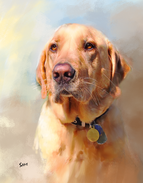 Pet Portrait Paintings for Sale | Sami's Art Shop