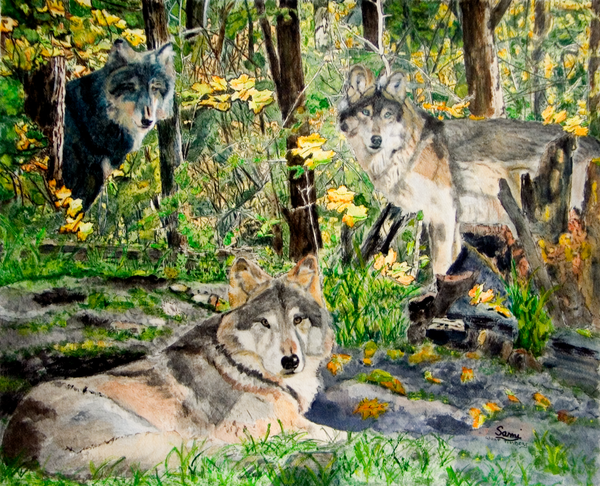 Wildlife Paintings for Sale | Sami's Art Shop