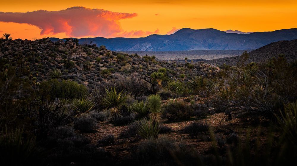 Desert Foreground & Rising Clouds Photography Art | John Lazo Photography