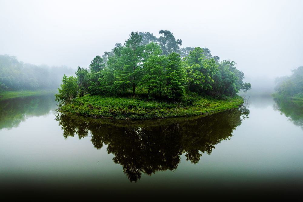 Brazos Bend Peninsula Portrait