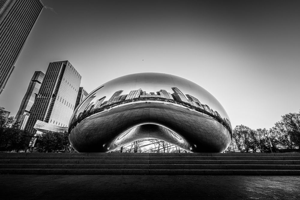 Chicago Bean Portrait Photography Art | John Lazo Photography