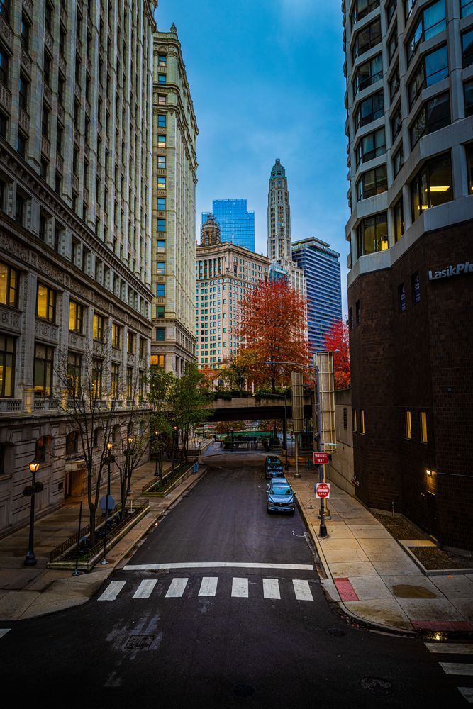 Fall Chicago Morning Photography Art | John Lazo Photography