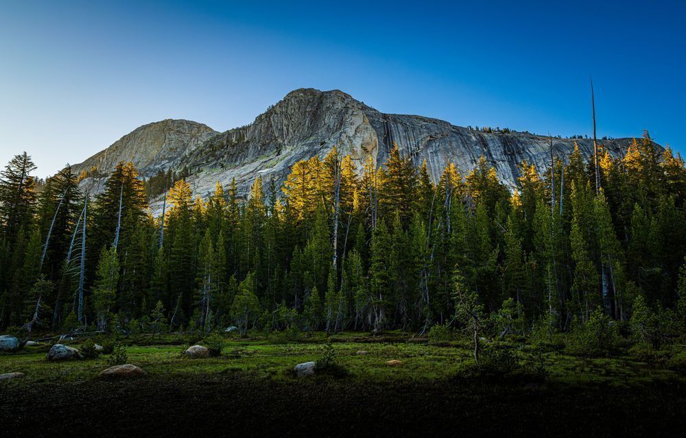 Granite Walls Yellow Treetops Photography Art | John Lazo Photography