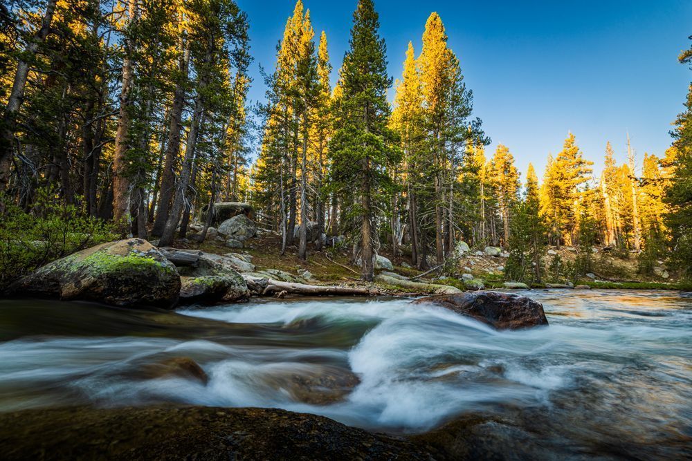 Dana Fork Sunrise Swirl Photography Art | John Lazo Photography
