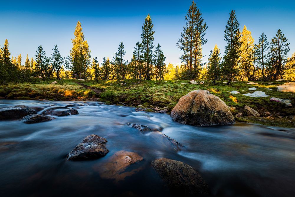 Elizabeth Lake Stream Photography Art | John Lazo Photography