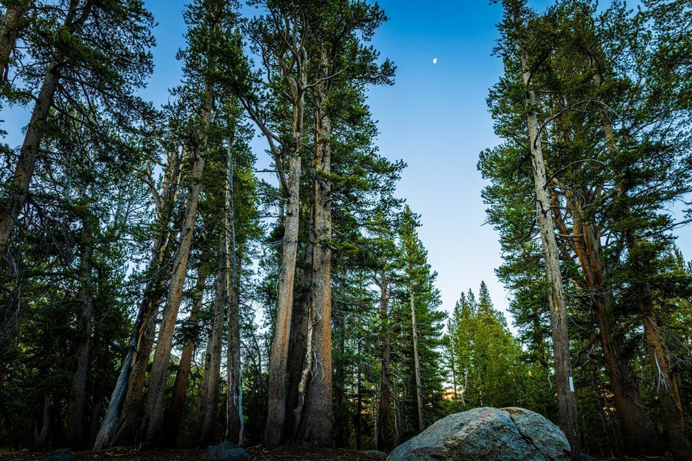 Naturally Framed Yosemite Moon Photography Art | John Lazo Photography