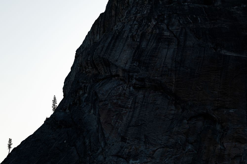 Lembert Dome Ecosystem Photography Art | John Lazo Photography