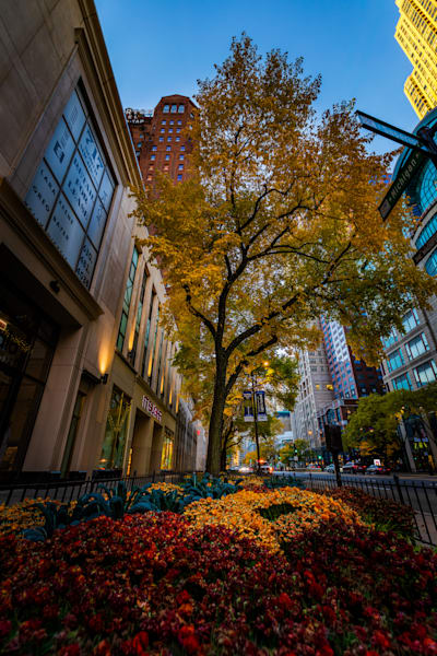 Michigan & Superior Photography Art | John Lazo Photography